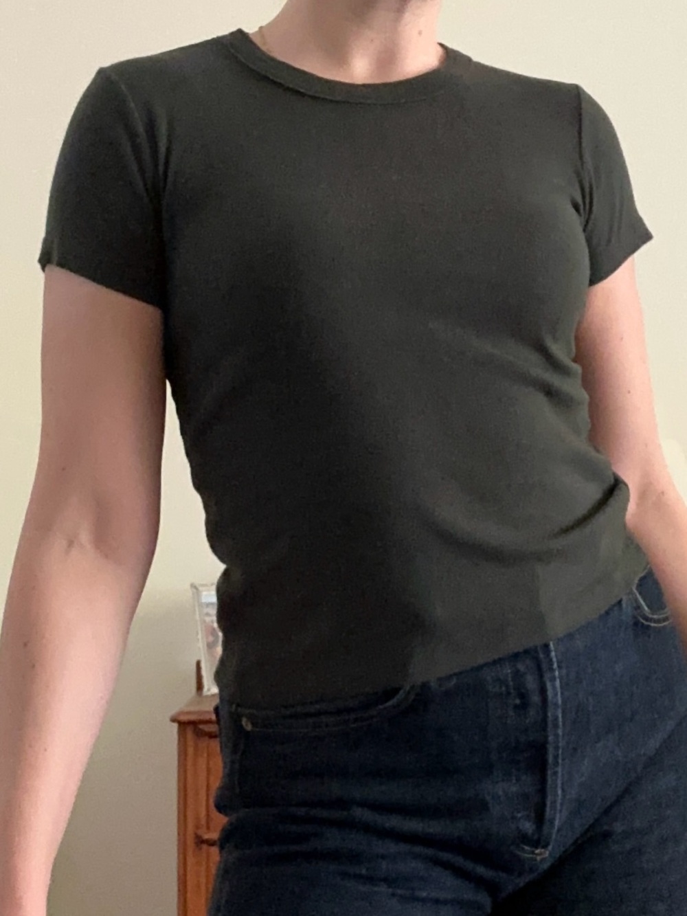 Brandy Melville Hailie Short Sleeve Top
